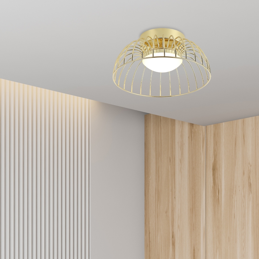 LED plafonsko svetlo BETSY LED/12W/230V, prečnik 25 cm, zlatna