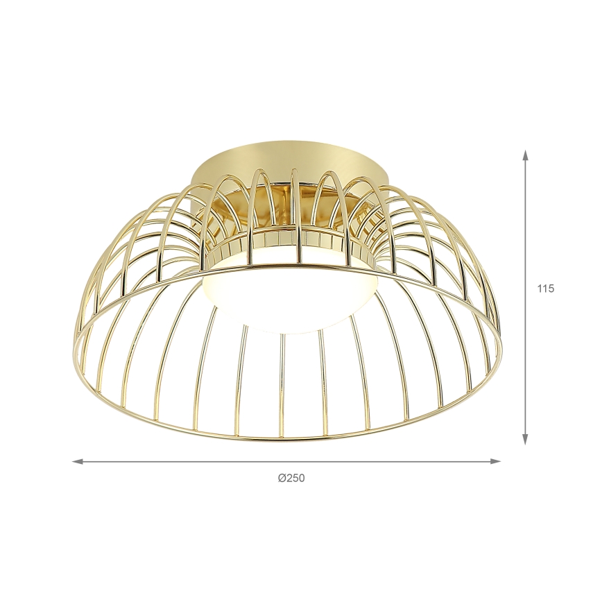 LED plafonsko svetlo BETSY LED/12W/230V, prečnik 25 cm, zlatna