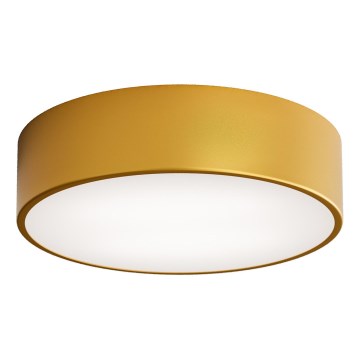 LED plafonsko svetlo CLEO LED/24W/230V 4000K Ø 30 cm zlatna