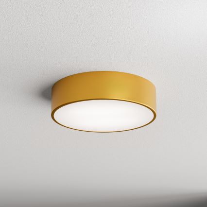 LED plafonsko svetlo CLEO LED/24W/230V 4000K Ø 30 cm zlatna
