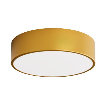 LED plafonsko svetlo CLEO LED/24W/230V 4000K Ø 30 cm zlatna