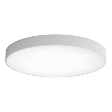 LED plafonsko svetlo CLEO LED/96W/230V 4000K pr. 80 cm sivo