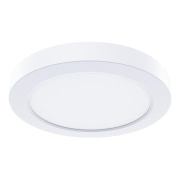 LED plafonsko svetlo EVORA LED/6W/230V 3000/4000/6000K prečnik 14 cm belo