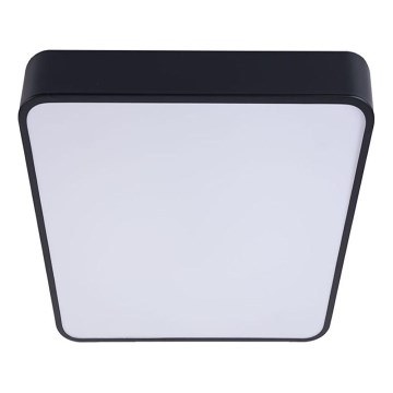 LED plafonsko svetlo FELIZ LED/50W/230V 4000K 40x60 cm crno