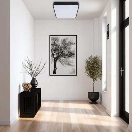 LED plafonsko svetlo FELIZ LED/50W/230V 4000K 40x60 cm crno