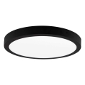 LED plafonsko svetlo FENIX, 24 W, 230 V, 3800 K, prečnik 29,8 cm
