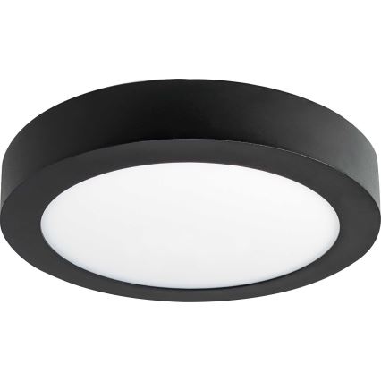 LED plafonsko svetlo FENIX LED/12W/230V 2800K prečnik 17 cm
