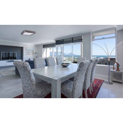 LED plafonsko svetlo FENIX LED/18W/230V 3800K 22,5 cm