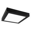 LED plafonsko svetlo FENIX LED/18W/230V 3800K 22,5 cm