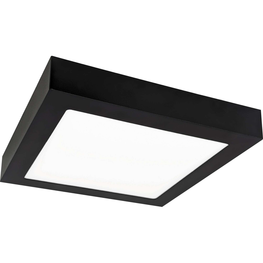 LED plafonsko svetlo FENIX LED/18W/230V 3800K 22,5 cm