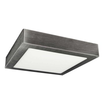 LED plafonsko svetlo FENIX LED/24W/230V 3800K 29,8 cm