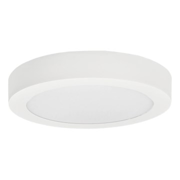 LED plafonsko svetlo FENIX LED/24W/230V 3800K prečnik 29,8 cm snežno bela