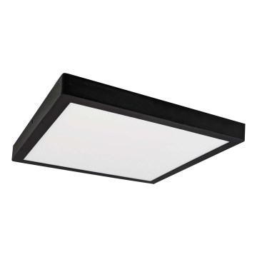 LED Plafonsko svetlo FENIX LED/32W/230V 3800K 40 cm
