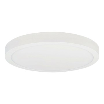 LED plafonsko svetlo FENIX LED/32W/230V 3800K Ø 40 cm snežno belo
