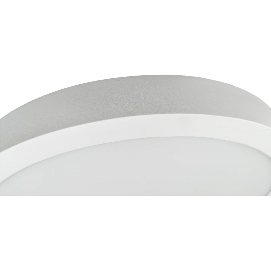 LED plafonsko svetlo FENIX LED/32W/230V 3800K Ø 40 cm snežno belo