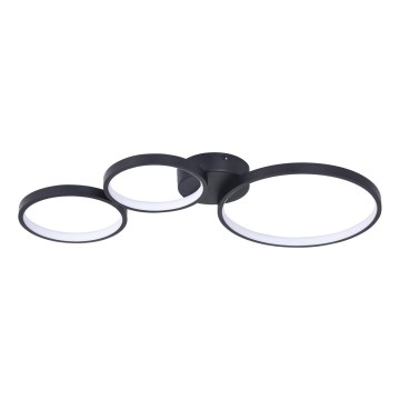 LED plafonsko svetlo FLAMENCO LED/33W/230V 4000K crno