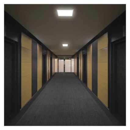 LED plafonsko svetlo FLORI LED/22W/230V 4000K belo 42x42 cm