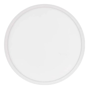 LED plafonsko svetlo FLORI LED/22W/230V 4000K belo prečnik 42 cm