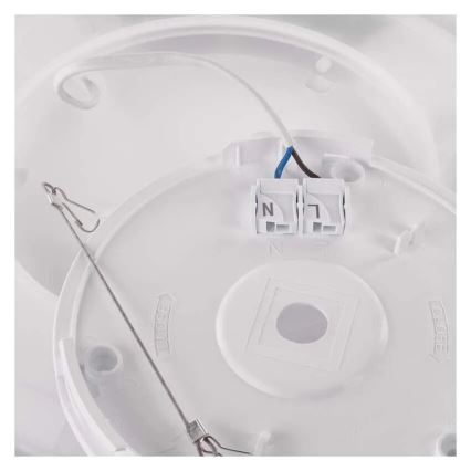 LED plafonsko svetlo FLORI LED/22W/230V 4000K belo prečnik 42 cm