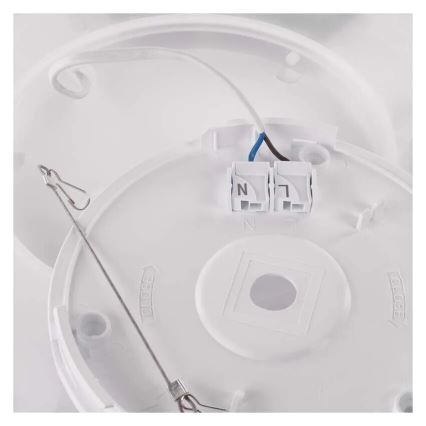 LED plafonsko svetlo FLORI LED/22W/230V 4000K crna 42x42 cm