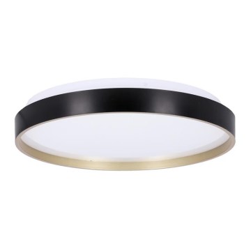 LED plafonsko svetlo FLORIDA LED/18W/230V crno