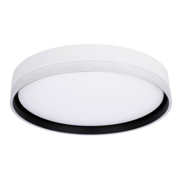 LED plafonsko svetlo FLORIDA LED/24W/230V belo