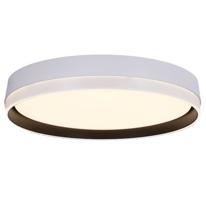 LED plafonsko svetlo FLORIDA LED/24W/230V belo