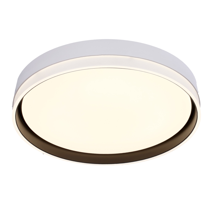 LED plafonsko svetlo FLORIDA LED/24W/230V belo