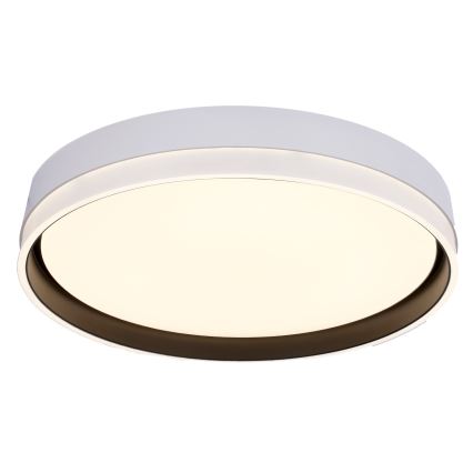 LED plafonsko svetlo FLORIDA LED/24W/230V belo