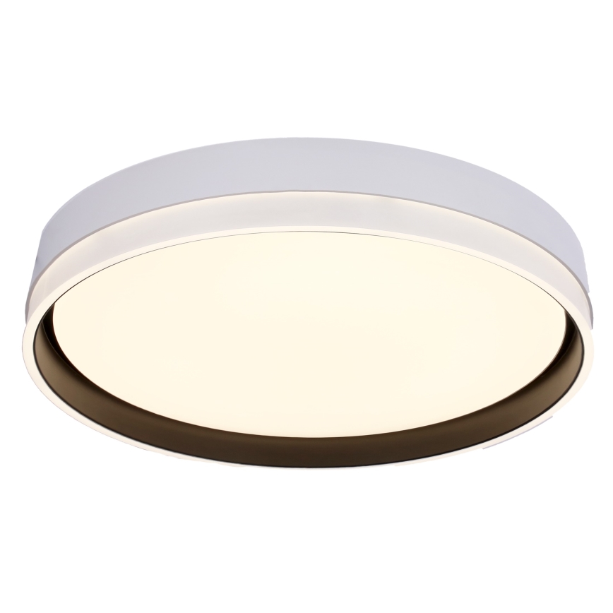LED plafonsko svetlo FLORIDA LED/24W/230V belo