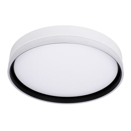 LED plafonsko svetlo FLORIDA LED/24W/230V belo