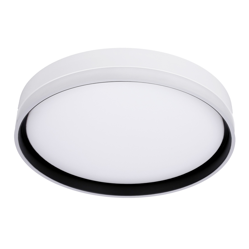 LED plafonsko svetlo FLORIDA LED/24W/230V belo