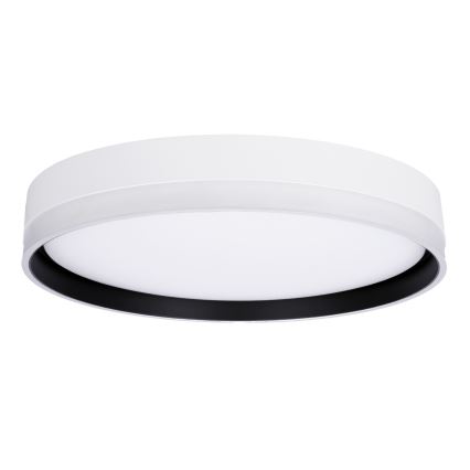 LED plafonsko svetlo FLORIDA LED/24W/230V belo
