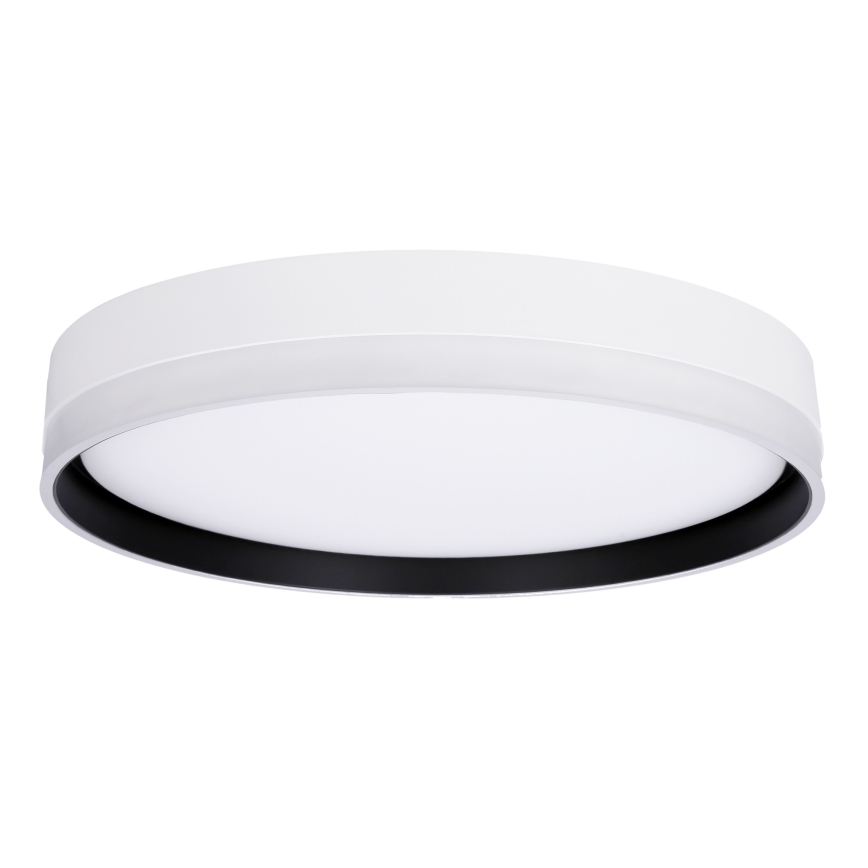 LED plafonsko svetlo FLORIDA LED/24W/230V belo
