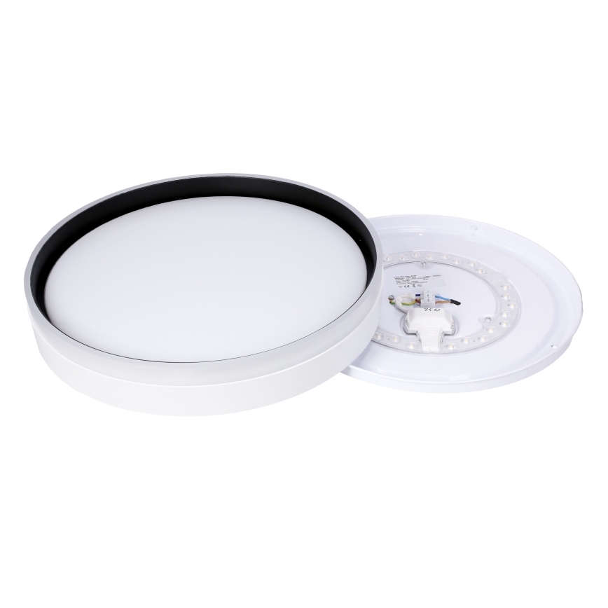 LED plafonsko svetlo FLORIDA LED/24W/230V belo