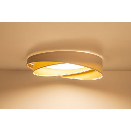 LED plafonsko svetlo GALAXY MODERN LED/24W/230V pr. 55 cm belo/zlatno