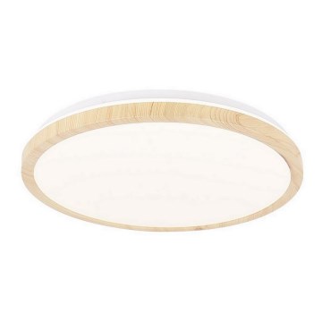 LED plafonsko svetlo GANDAVA LED/24W/230V