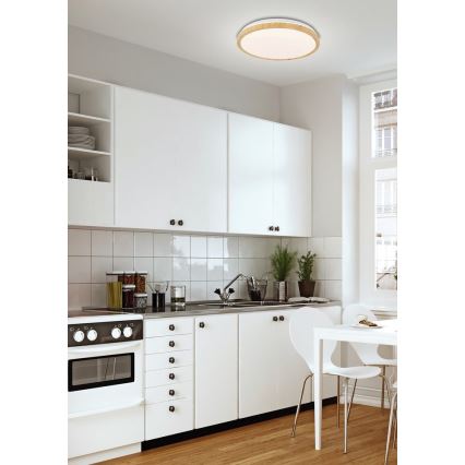 LED plafonsko svetlo GANDAVA LED/24W/230V