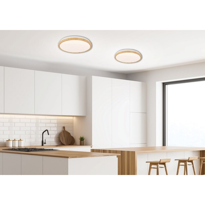 LED plafonsko svetlo GANDAVA LED/24W/230V