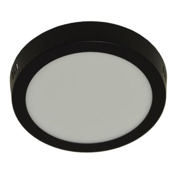 LED plafonsko svetlo GERRIT LED/12W/230V 4000K crna