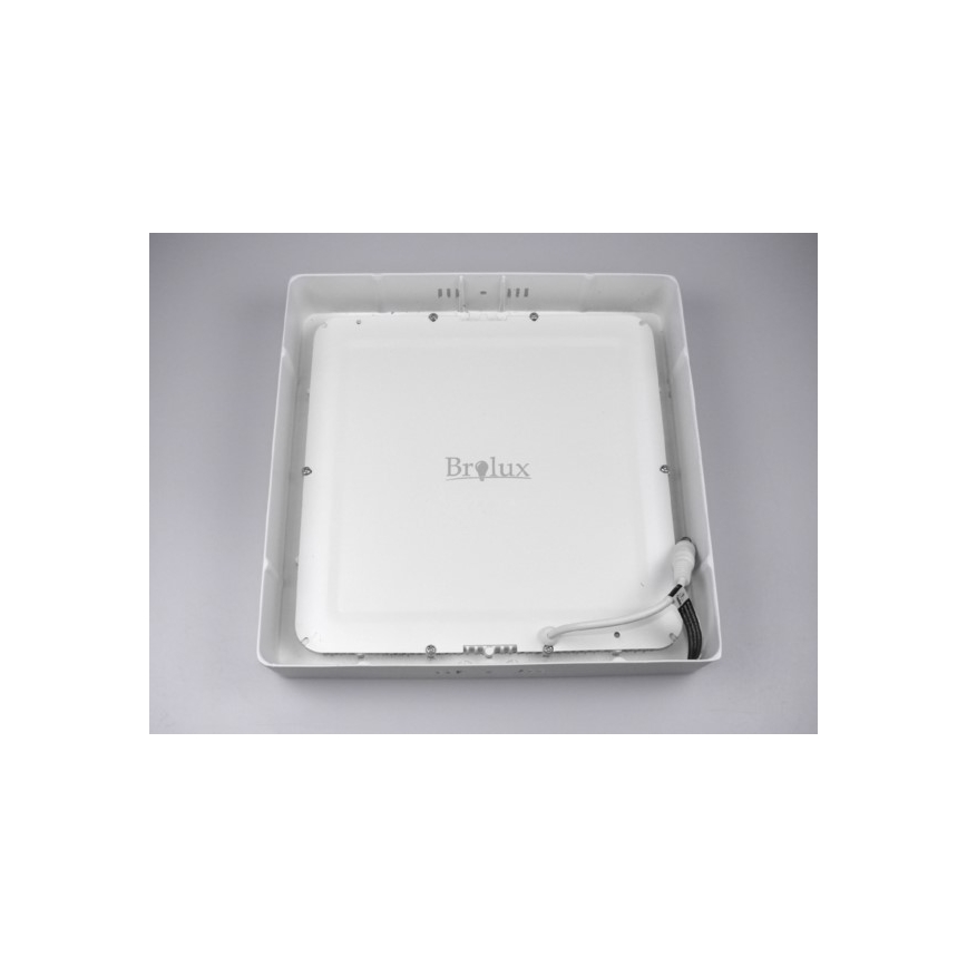 LED plafonsko svetlo GERRY LED/12W/230V 3000K bela
