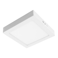 LED plafonsko svetlo GERRY LED/24W/230V 3000K