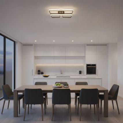 LED plafonsko svetlo HIDALGO LED/40W/230V crno
