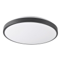 LED plafonsko svetlo KERN LED/24W/230V crno