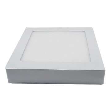 LED Plafonsko svetlo LED/12W/230V 3000K