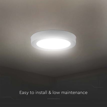 LED plafonsko svetlo LED/12W/230V 6500K Ø 16,7 cm belo