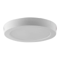 LED plafonsko svetlo LED/12W/230V 6500K Ø 16,7 cm belo
