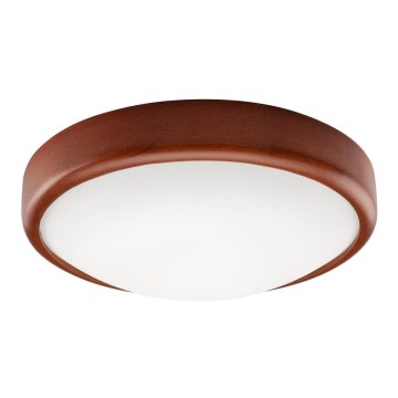 LED plafonsko svetlo LED/12W/230V borovina