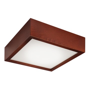 LED plafonsko svetlo LED/12W/230V borovina