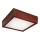LED plafonsko svetlo LED/12W/230V borovina